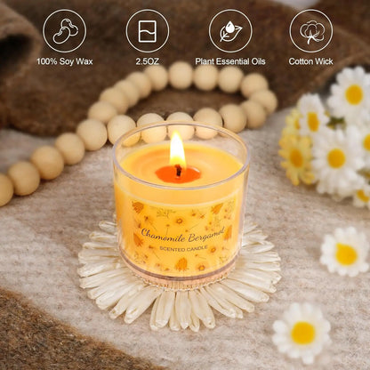 12 Pack Fall Scented Soy Candles