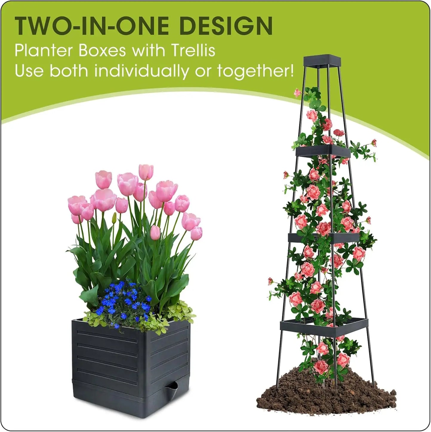 Raised Garden Bed with Trellis, Self-Watering Tomato Planter