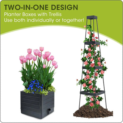 Raised Garden Bed with Trellis, Self-Watering Tomato Planter