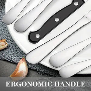 24 pcs Stainless Steel Flatware Set with Steak Knives