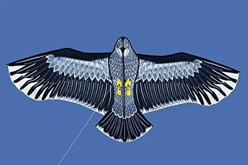 Outdoor Fun Sports Huge 72" Eagle Kite With Handle Line For Adults /Kids